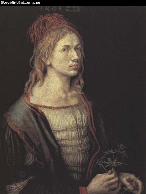 Albrecht Durer Portrait of the Artist with a Thistle